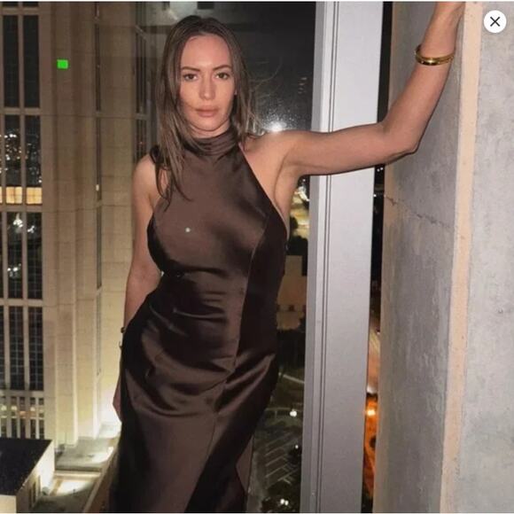 Reformation Anaiis Silk Maxi Dress Morel Size 8 Open Back - Picture 4 of 10